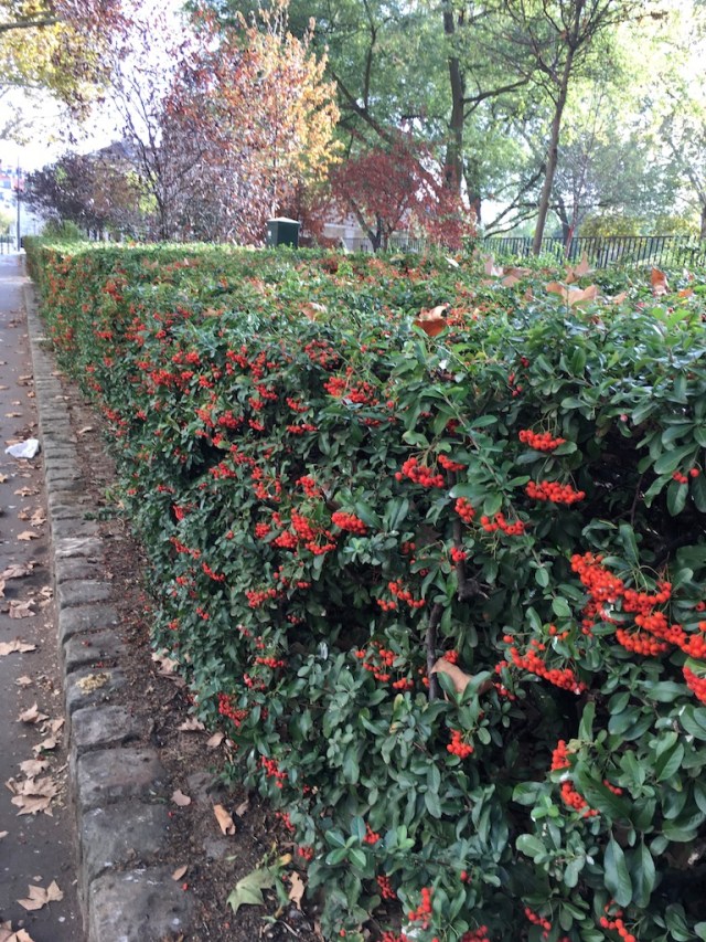 UNADJUSTEDNONRAW_thumb_b648